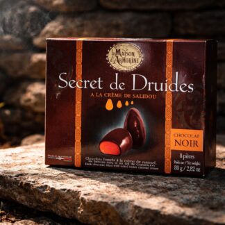 Secret des Druides